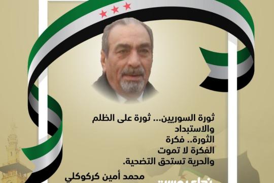 محمد أمين كركوكلي