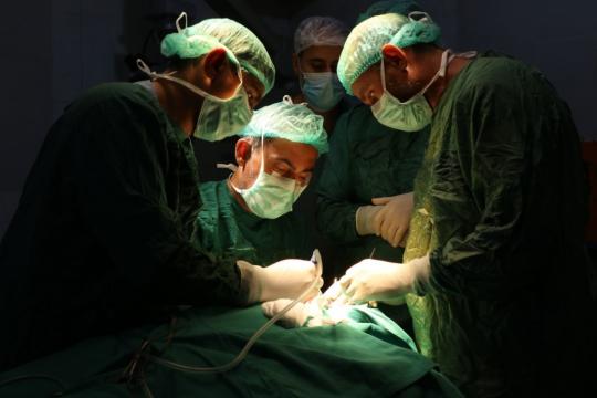 بدعم سعودي.. بَدْء زراعة الحلزون لعشرات الأطفال السوريين في تركيا