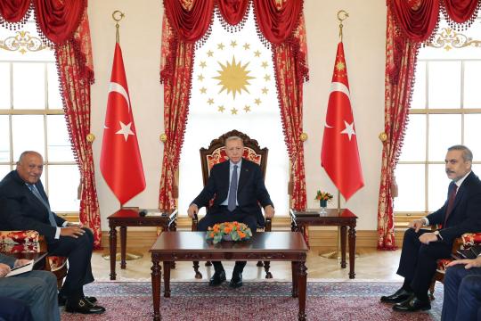 أردوغان وشكري يتبادلان الرؤى بخصوص التطورات في سورية