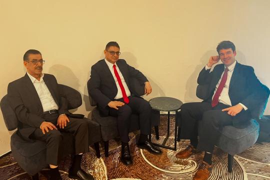 ألمانيا تُجدّد دعمها للحل السياسي في سورية ورفض التطبيع مع النظام