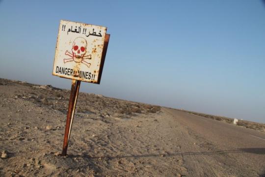 البحث عن نبتة "القبار" يُنهي حياة طفل في ريف حماة
