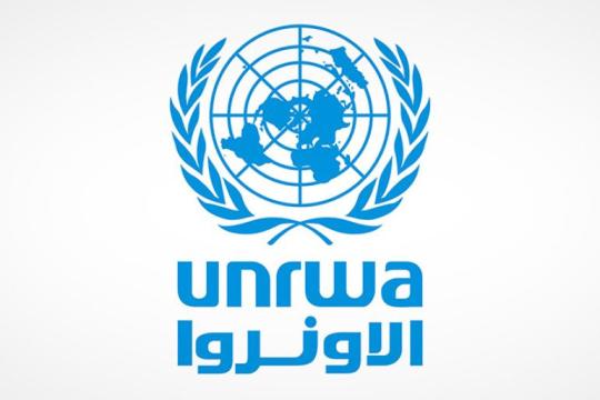 لتلبية احتياجات اللاجئين الفلسطينيين.. "الأونروا" تطلق نداءً عاجلاً لجمع 16 مليون دولار