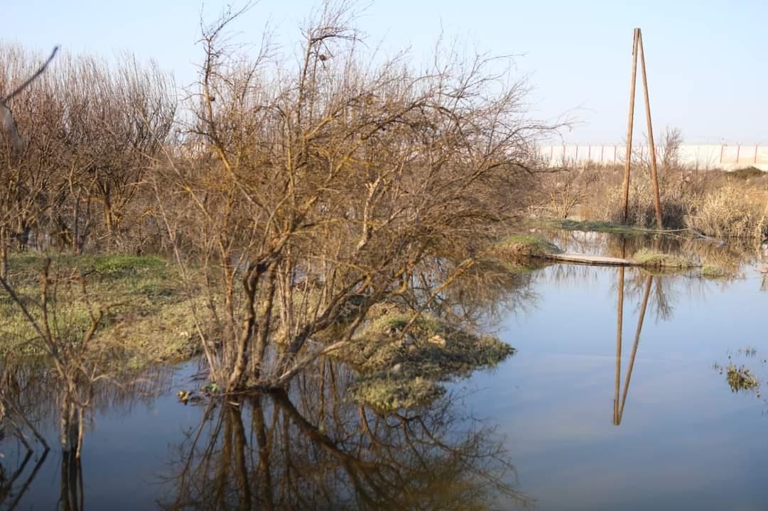 ارتفاع منسوب مياه نهر العاصي يتسبب بغمر الأراضي الزراعية في قرية العلاني غرب إدلب