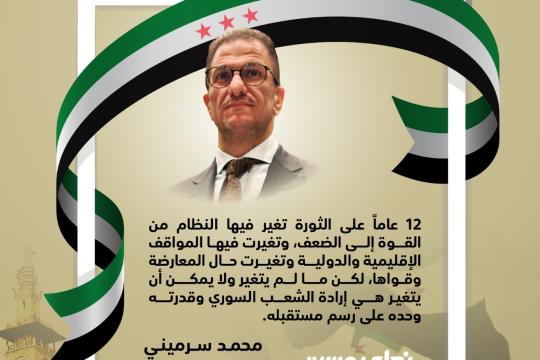 محمد سرميني