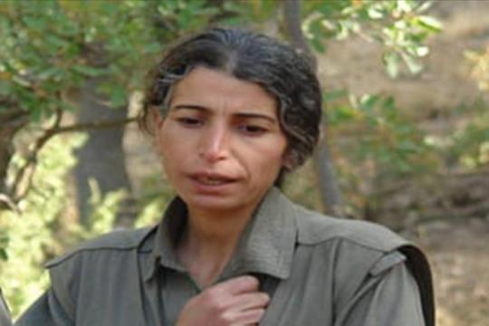 الاستخبارات التركية تُحيّد قيادية في YPG شمال شرقي سورية
