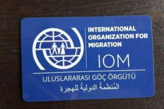 المنظمة الدولية للهجرة: 6 آلاف طالب لجوء لقوا حتفهم خلال عام 2022