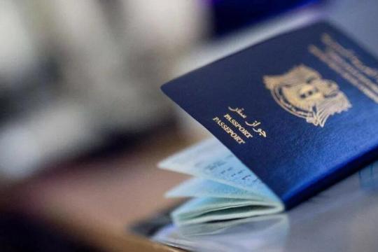 منظمة تدعو السلطات الألمانية لحرمان النظام السوري من أموال جوازات السفر